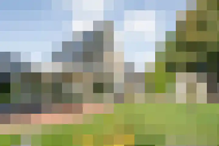 Reiger 144 Raalte thumbnail 55