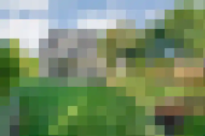 Reiger 144 Raalte thumbnail 56