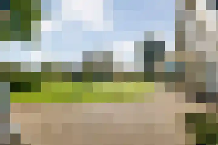 Reiger 144 Raalte thumbnail 57
