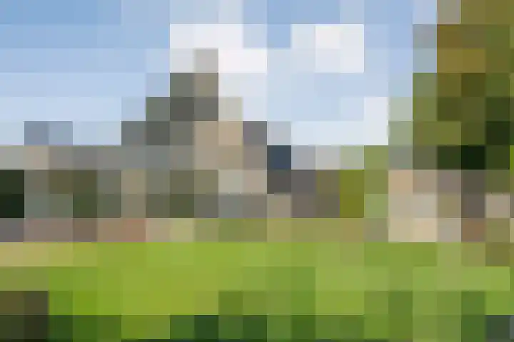Reiger 144 Raalte thumbnail 58