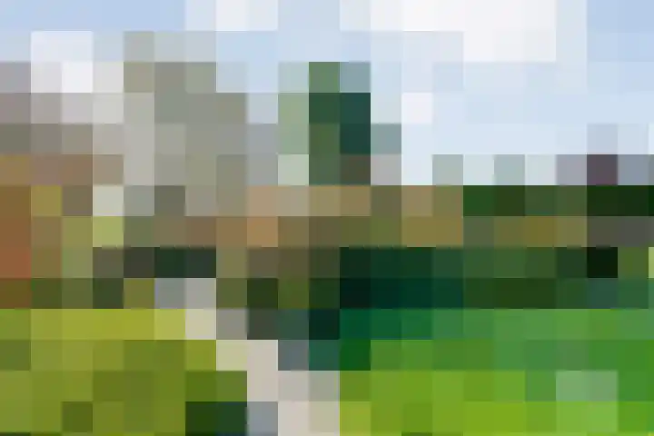 Reiger 144 Raalte thumbnail 59