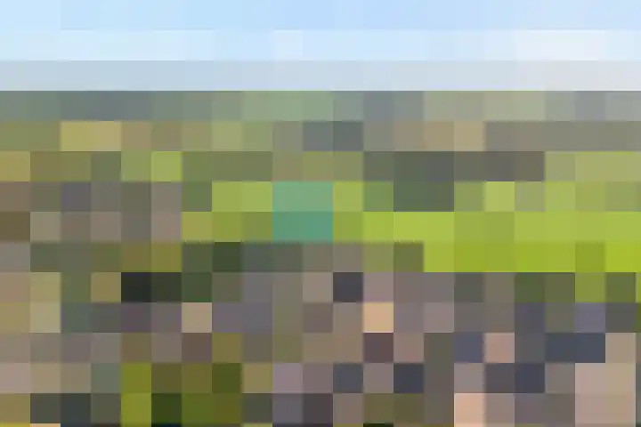 Reiger 144 Raalte thumbnail 6