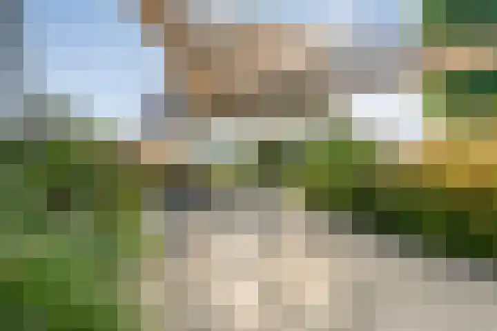 Reiger 144 Raalte thumbnail 60