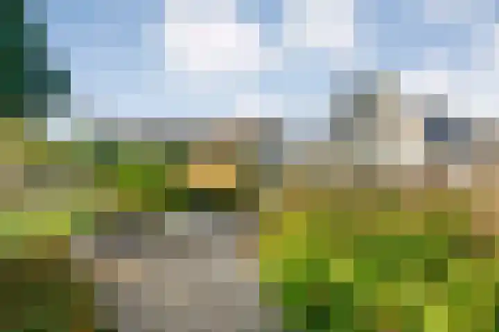 Reiger 144 Raalte thumbnail 61
