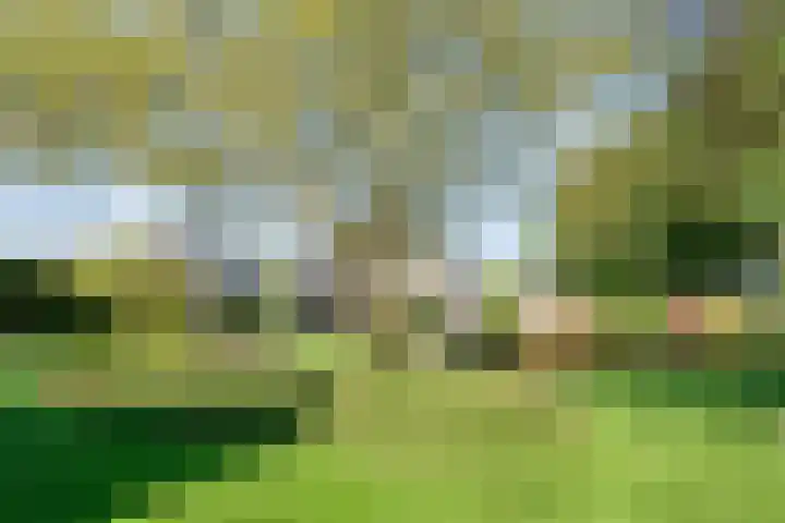 Reiger 144 Raalte thumbnail 63