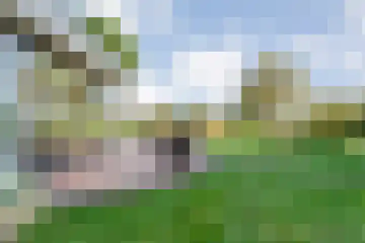 Reiger 144 Raalte thumbnail 64