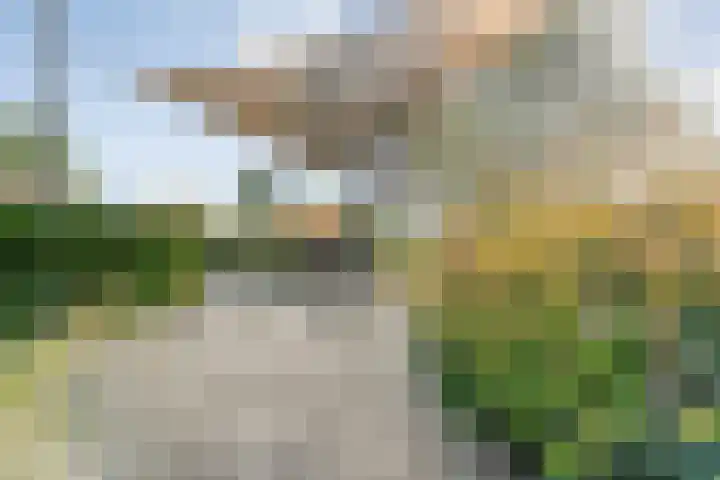 Reiger 144 Raalte thumbnail 65
