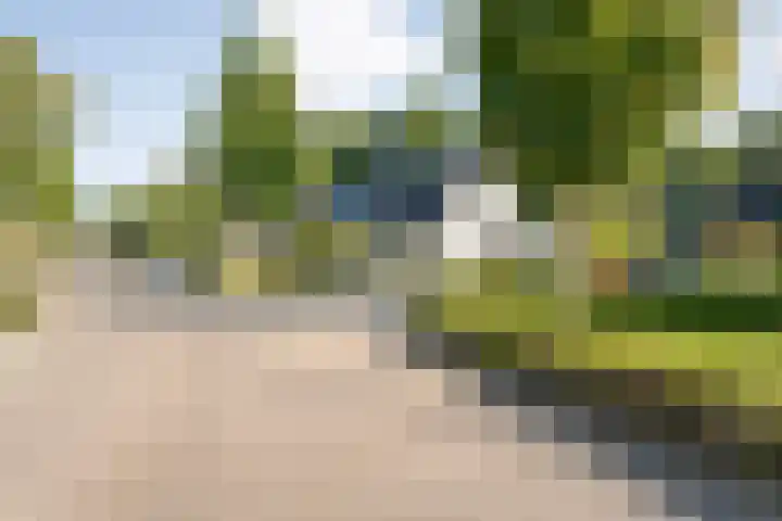 Reiger 144 Raalte thumbnail 7