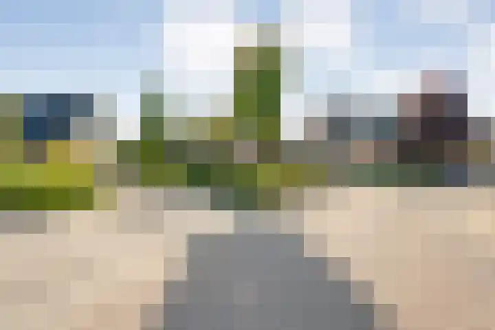 Reiger 144 Raalte thumbnail 8