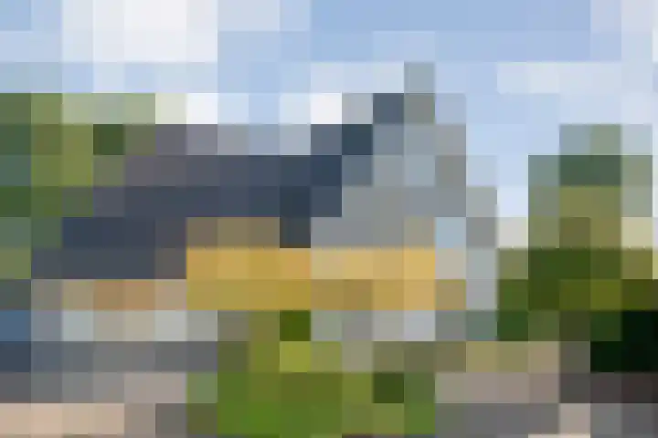 Reiger 144 Raalte thumbnail 9