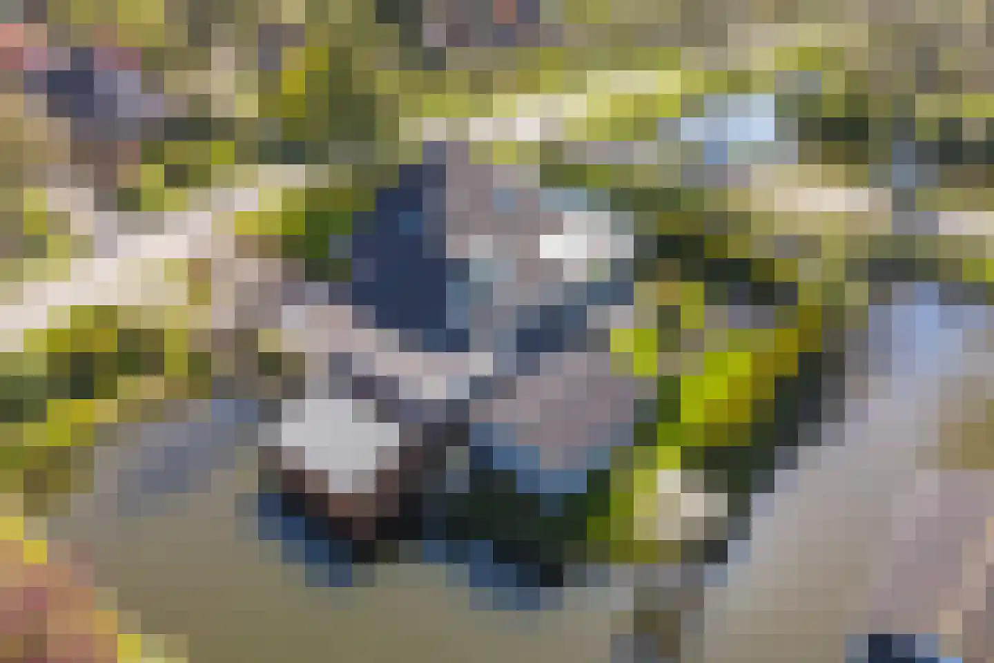 Reiger 17 Broek op Langedijk thumbnail 47