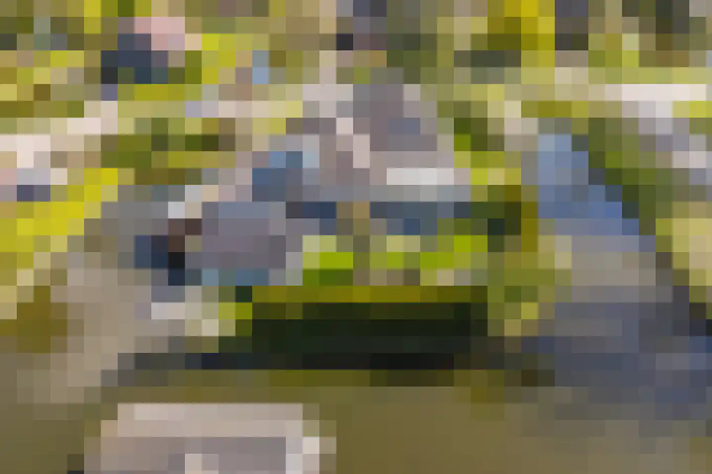Reiger 17 Broek op Langedijk thumbnail 48