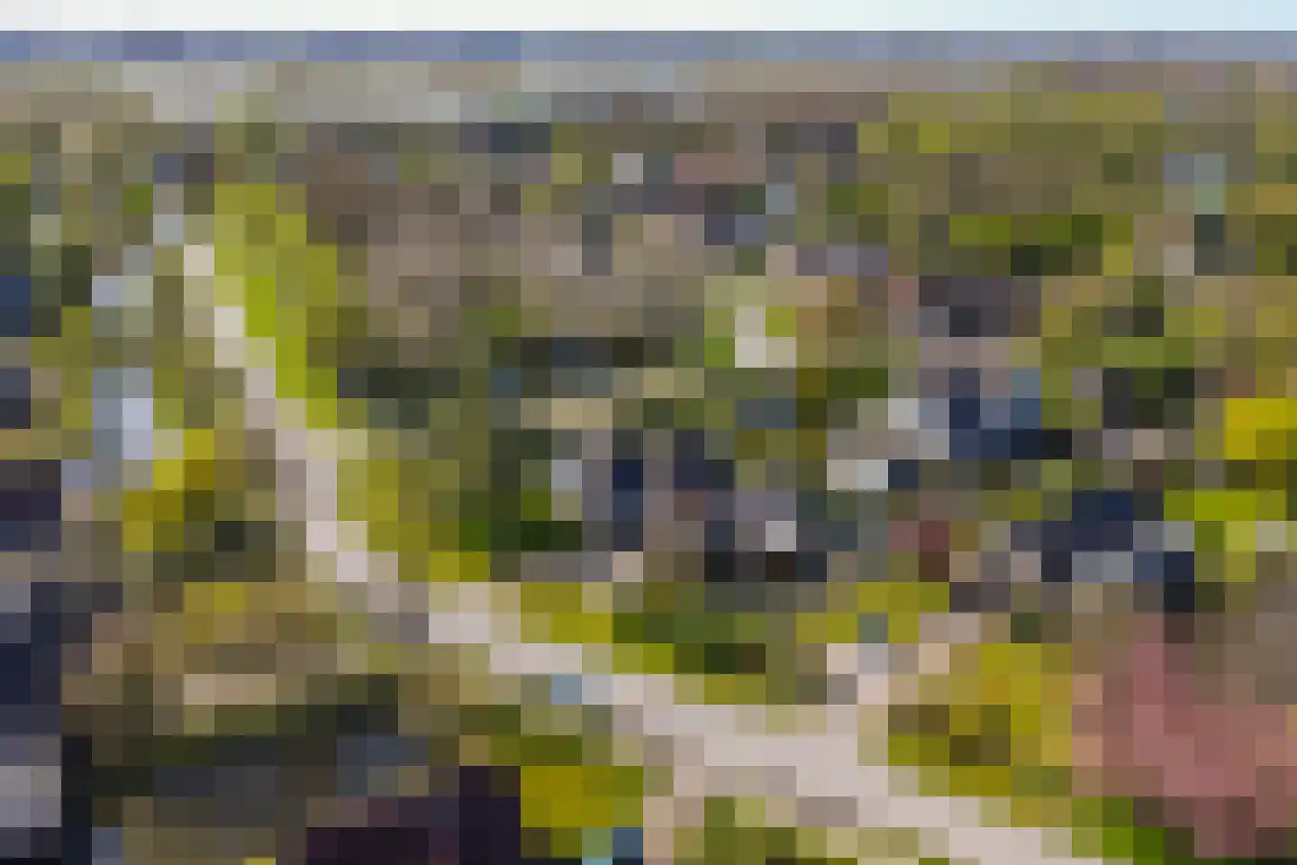 Reiger 17 Broek op Langedijk thumbnail 49