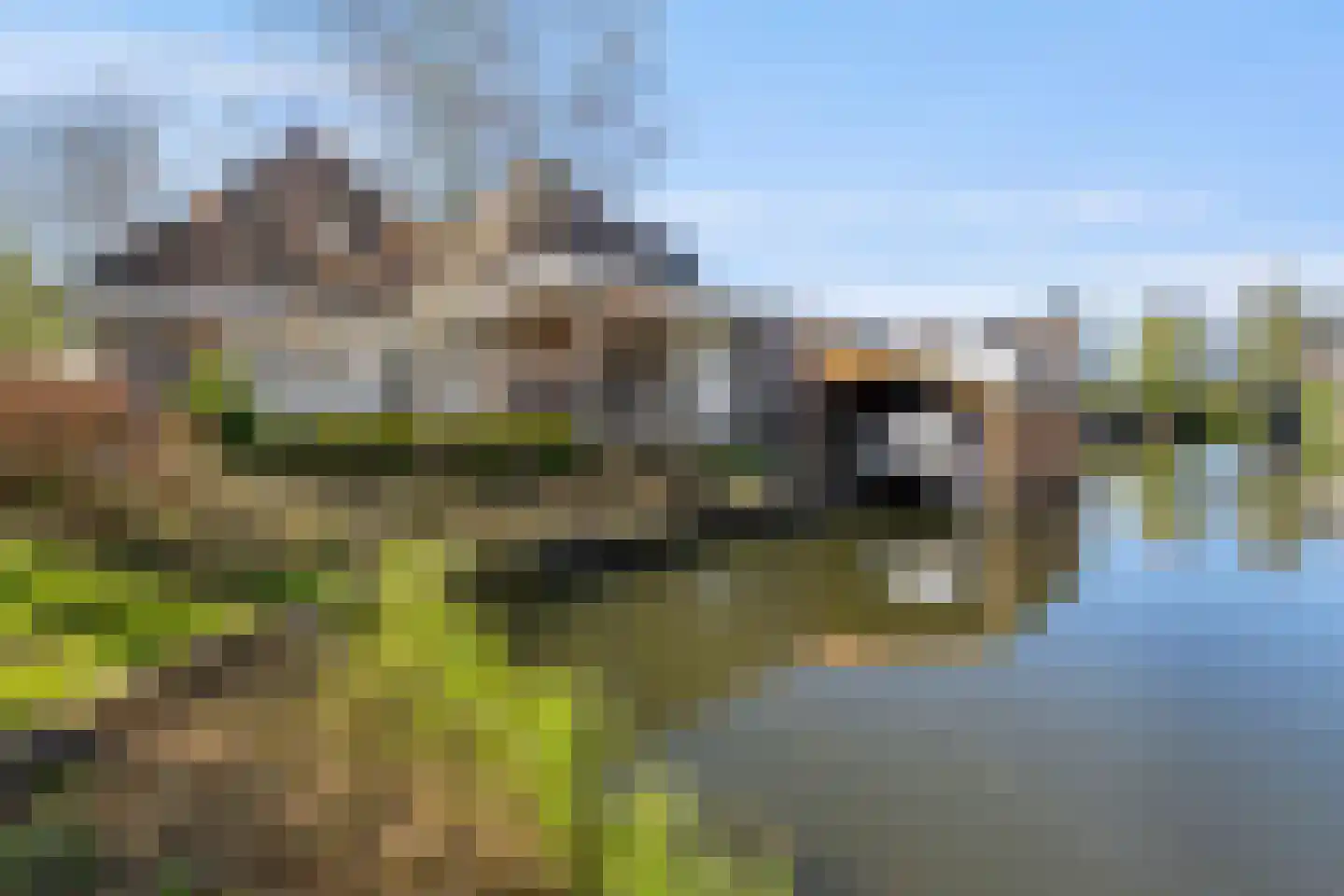 Reiger 17 Broek op Langedijk thumbnail 5