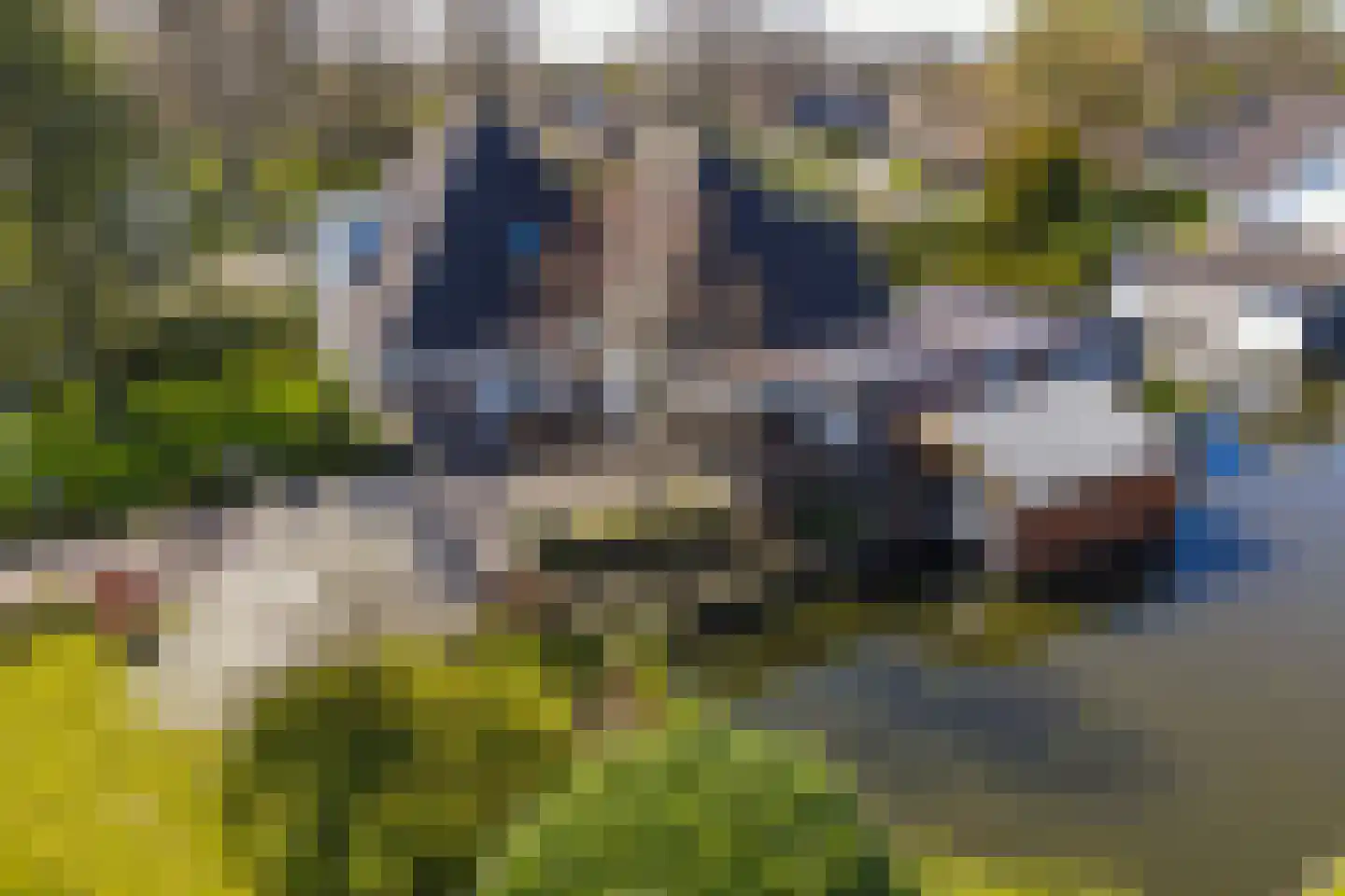 Reiger 17 Broek op Langedijk thumbnail 50