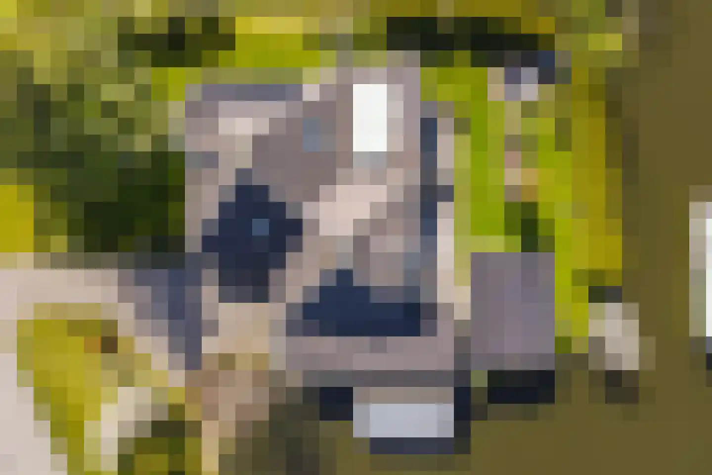 Reiger 17 Broek op Langedijk thumbnail 51