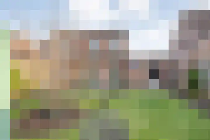 Reiger 17 Raalte thumbnail 35