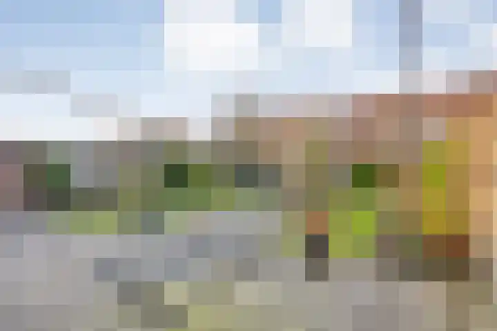 Reiger 17 Raalte thumbnail 36