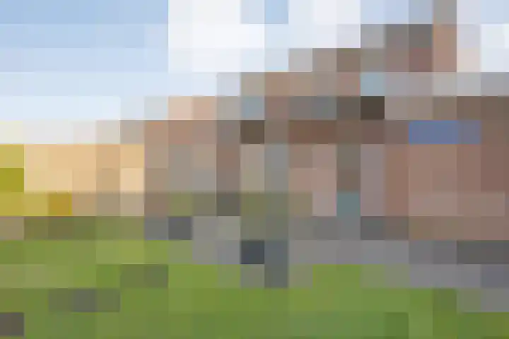 Reiger 17 Raalte thumbnail 37