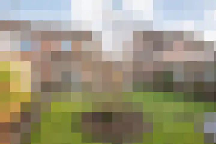Reiger 17 Raalte thumbnail 38