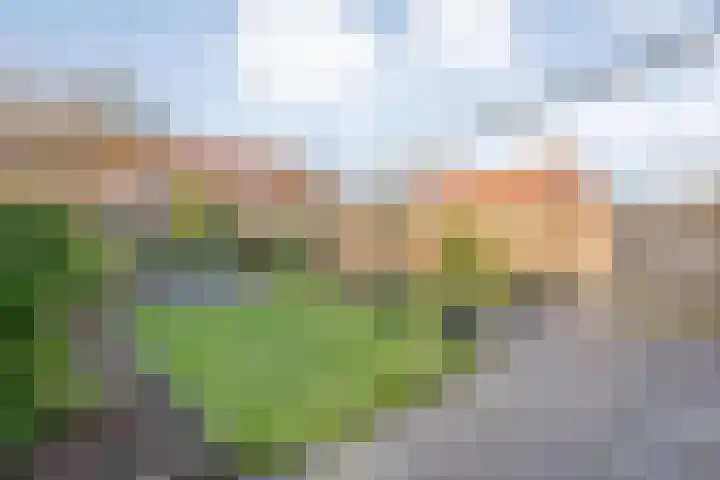 Reiger 17 Raalte thumbnail 39