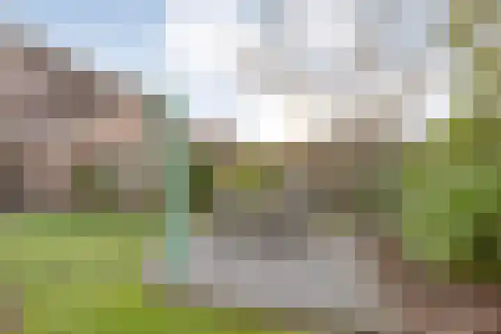 Reiger 17 Raalte thumbnail 40