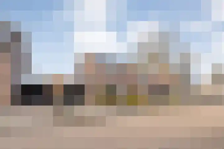 Reiger 17 Raalte thumbnail 41