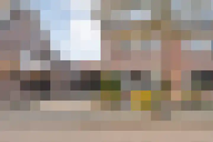 Reiger 17 Raalte thumbnail 43