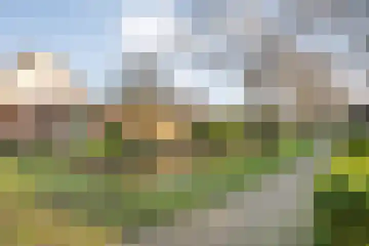 Reiger 17 Raalte thumbnail 46