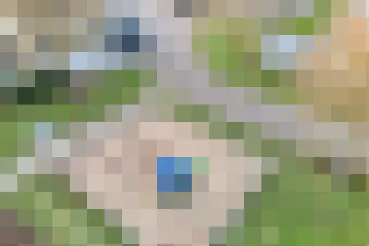 Reiger 17 Raalte thumbnail 47