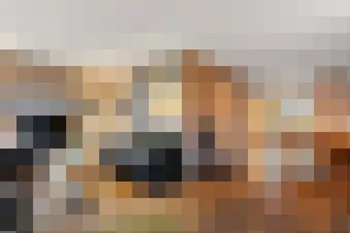 Reiger 17 Raalte thumbnail 8