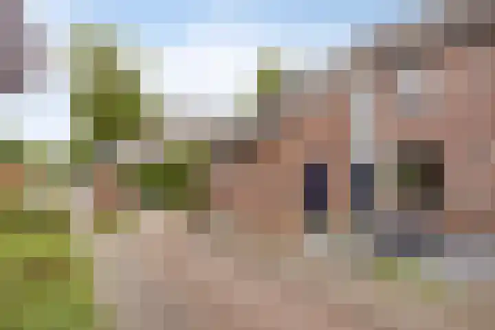 Reiger 19 Harmelen thumbnail 44