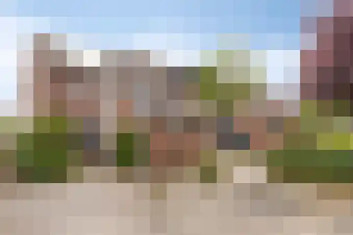 Reiger 19 Harmelen thumbnail 45