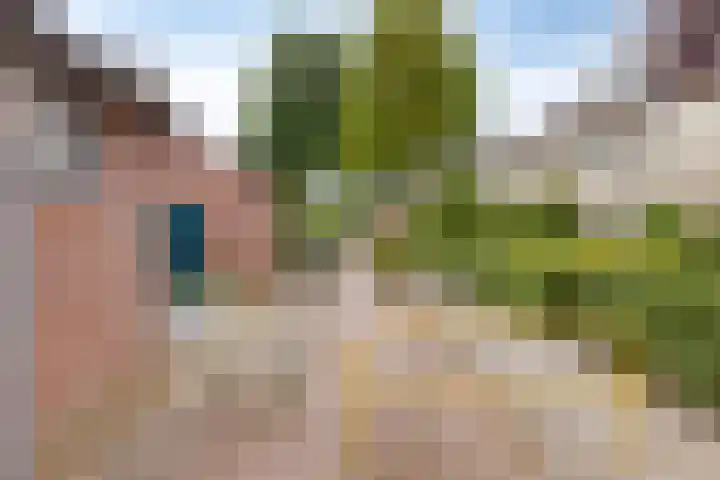 Reiger 19 Harmelen thumbnail 46