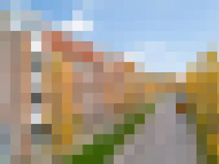 Reiger 19 Hoorn thumbnail 20