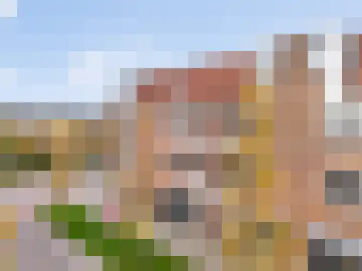 Reiger 19 Hoorn thumbnail 22