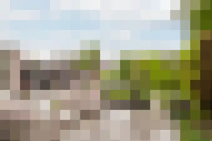 Reiger 2 's-Gravenzande thumbnail 14