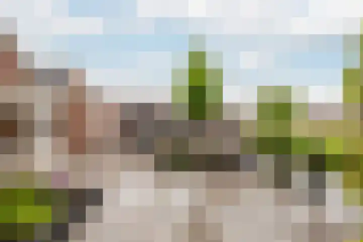 Reiger 2 's-Gravenzande thumbnail 16