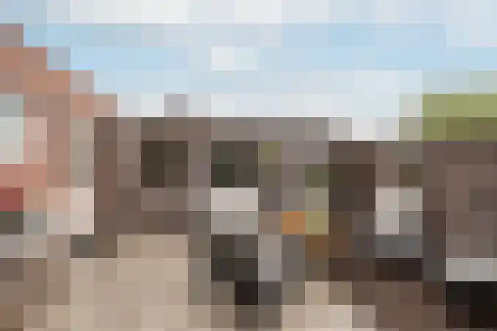 Reiger 2 's-Gravenzande thumbnail 17