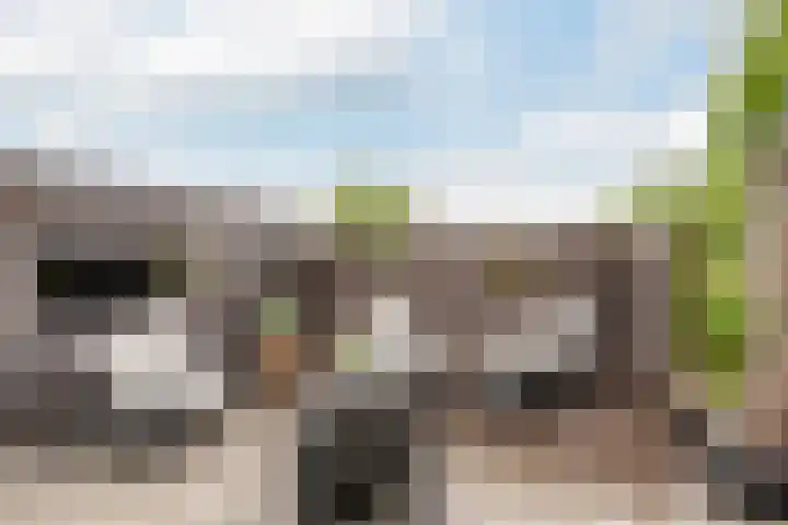 Reiger 2 's-Gravenzande thumbnail 18
