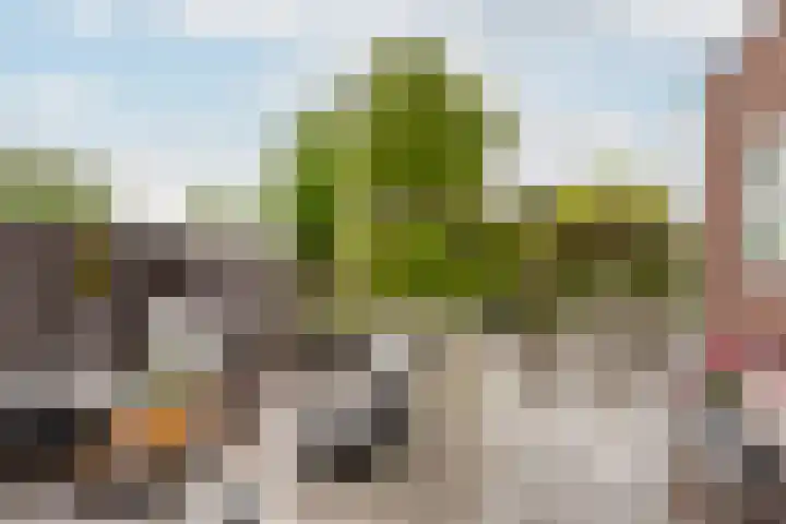 Reiger 2 's-Gravenzande thumbnail 19