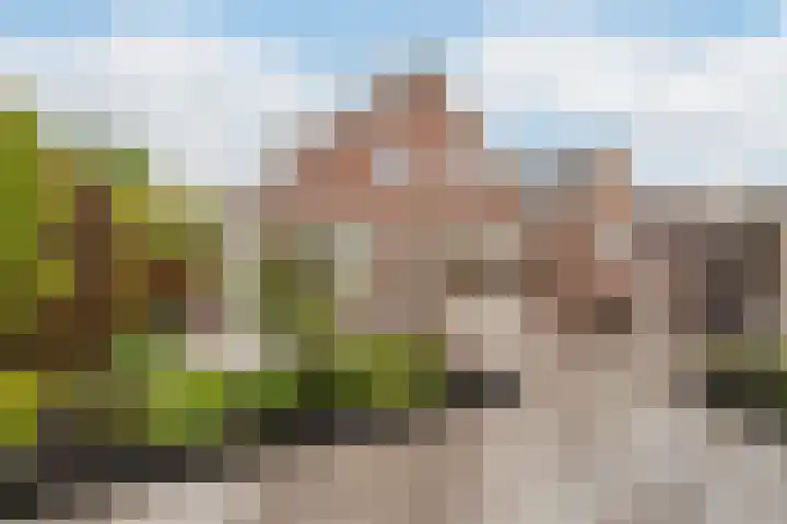 Reiger 2 's-Gravenzande thumbnail 21