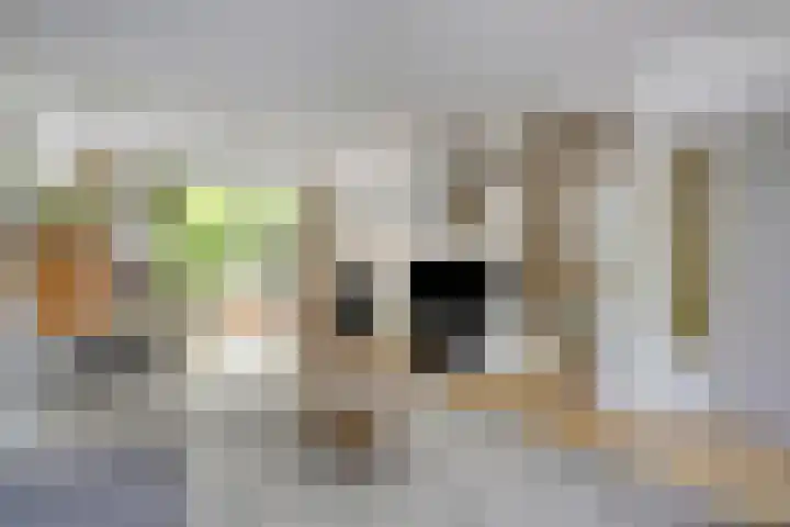 Reiger 2 's-Gravenzande thumbnail 4