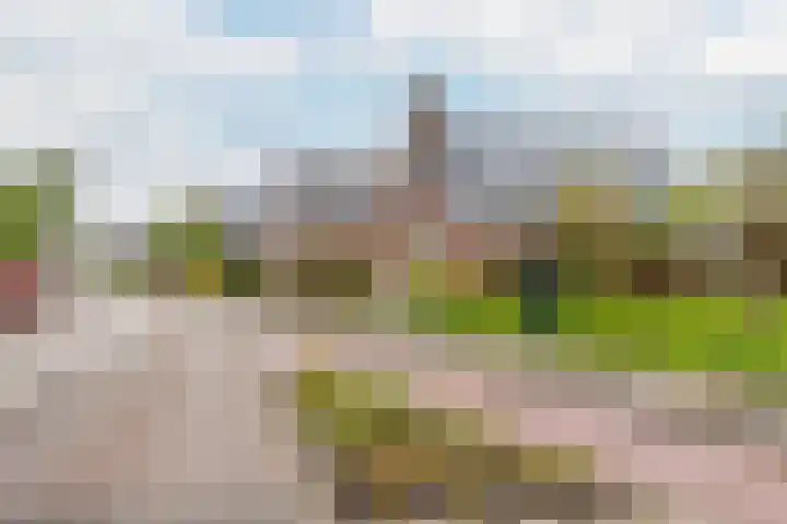 Reiger 2 's-Gravenzande thumbnail 44