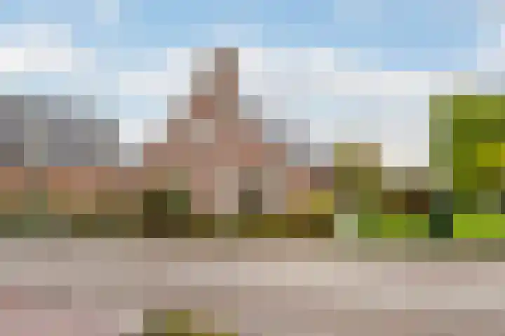 Reiger 2 's-Gravenzande thumbnail 45