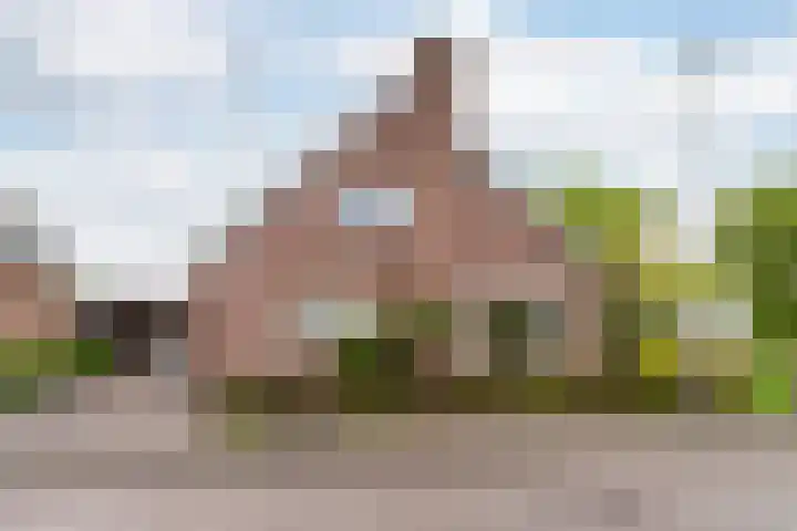 Reiger 2 's-Gravenzande thumbnail 46
