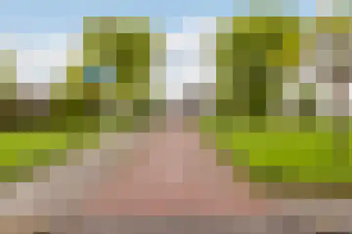 Reiger 2 's-Gravenzande thumbnail 49