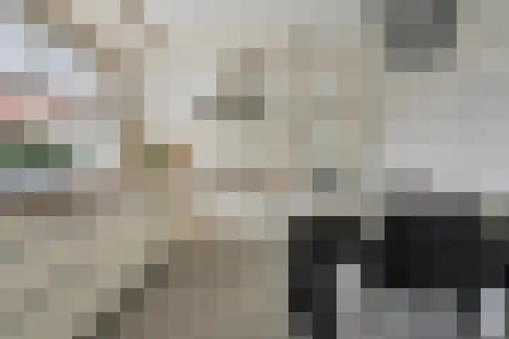 Reiger 2 Terneuzen thumbnail 10