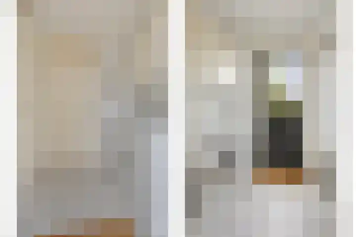 Reiger 2 Terneuzen thumbnail 11