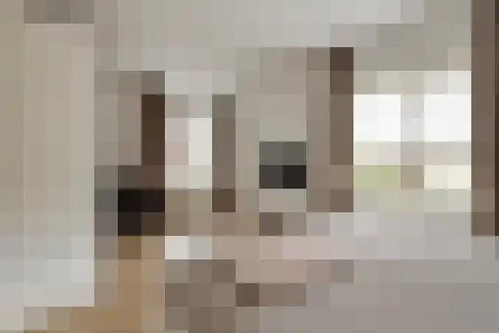 Reiger 2 Terneuzen thumbnail 14